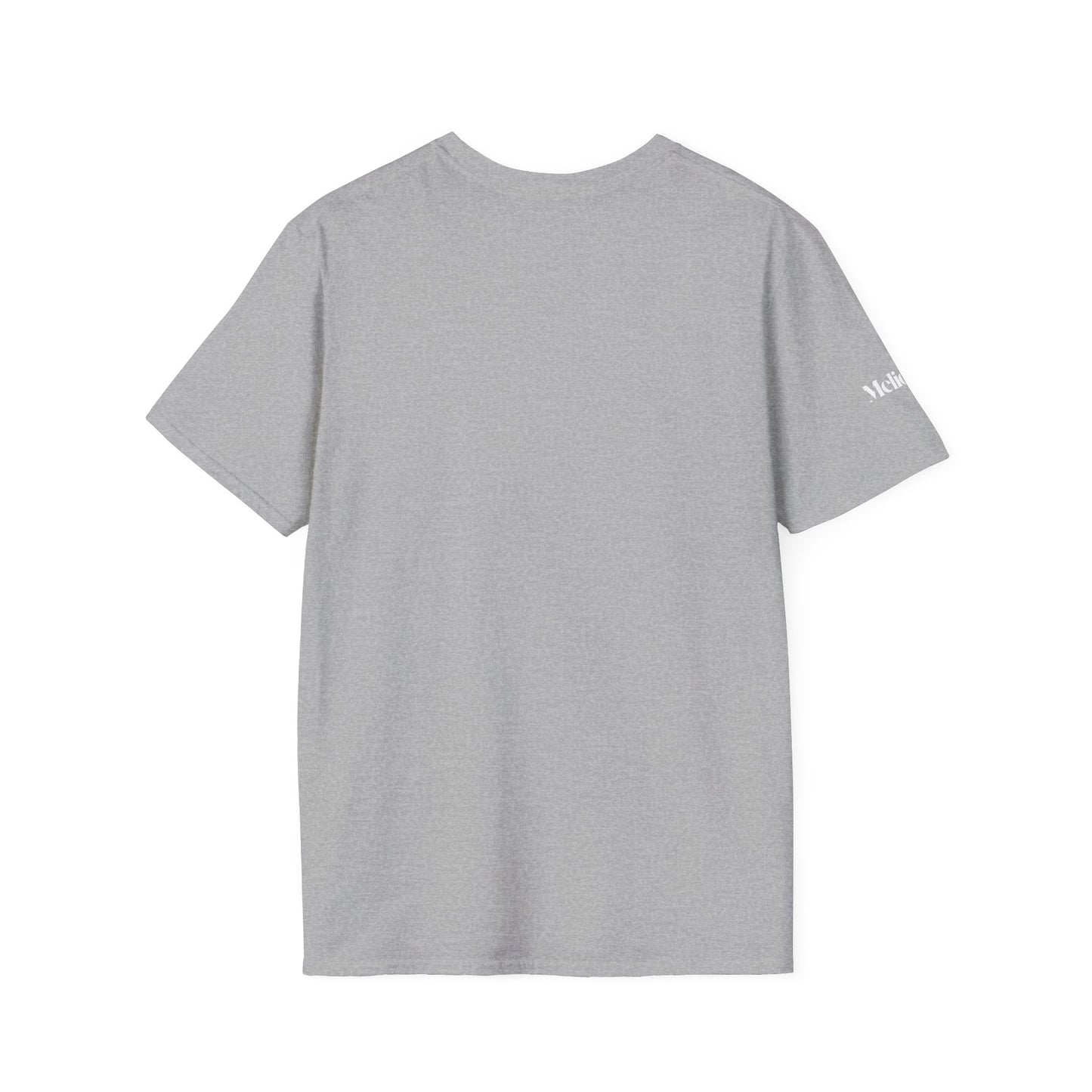 Fearless Lion Tee Shirt – Für alle, die groß denken & mutig handeln
