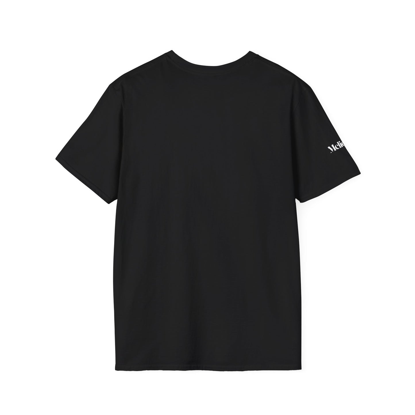 Fearless Lion Tee Shirt – Für alle, die groß denken & mutig handeln