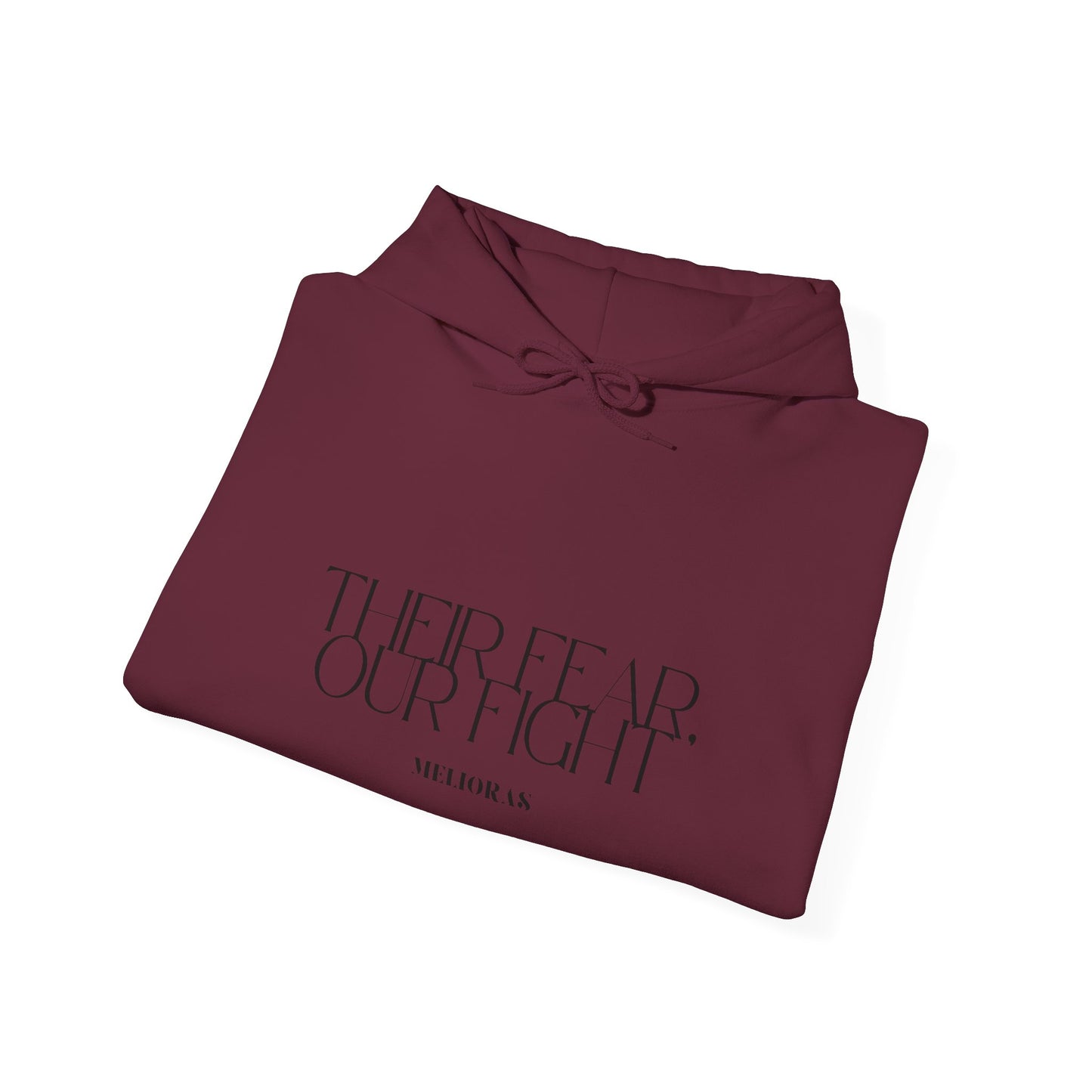 Empowerment Hoodie – THEIR FEAR, OUR FIGHT - Melioras
