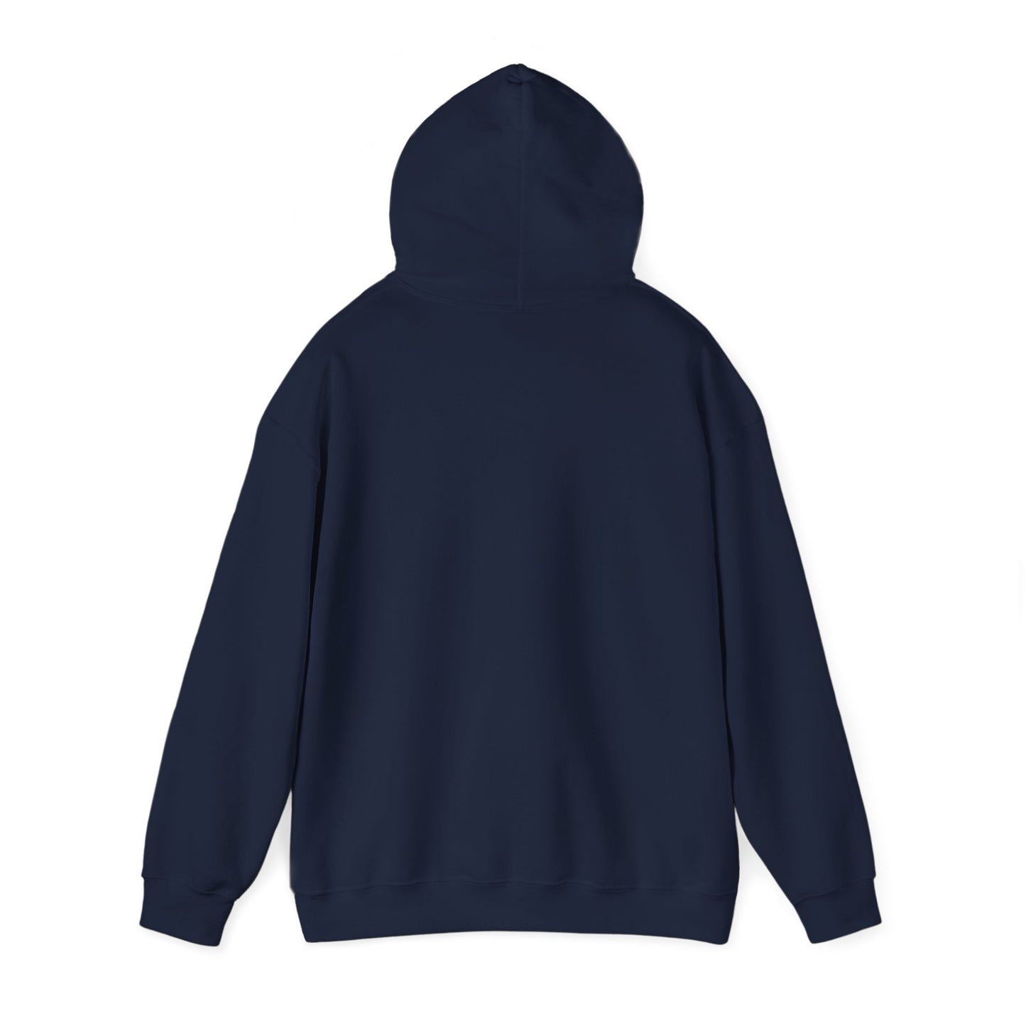 Empowerment Hoodie – THEIR FEAR, OUR FIGHT - Melioras