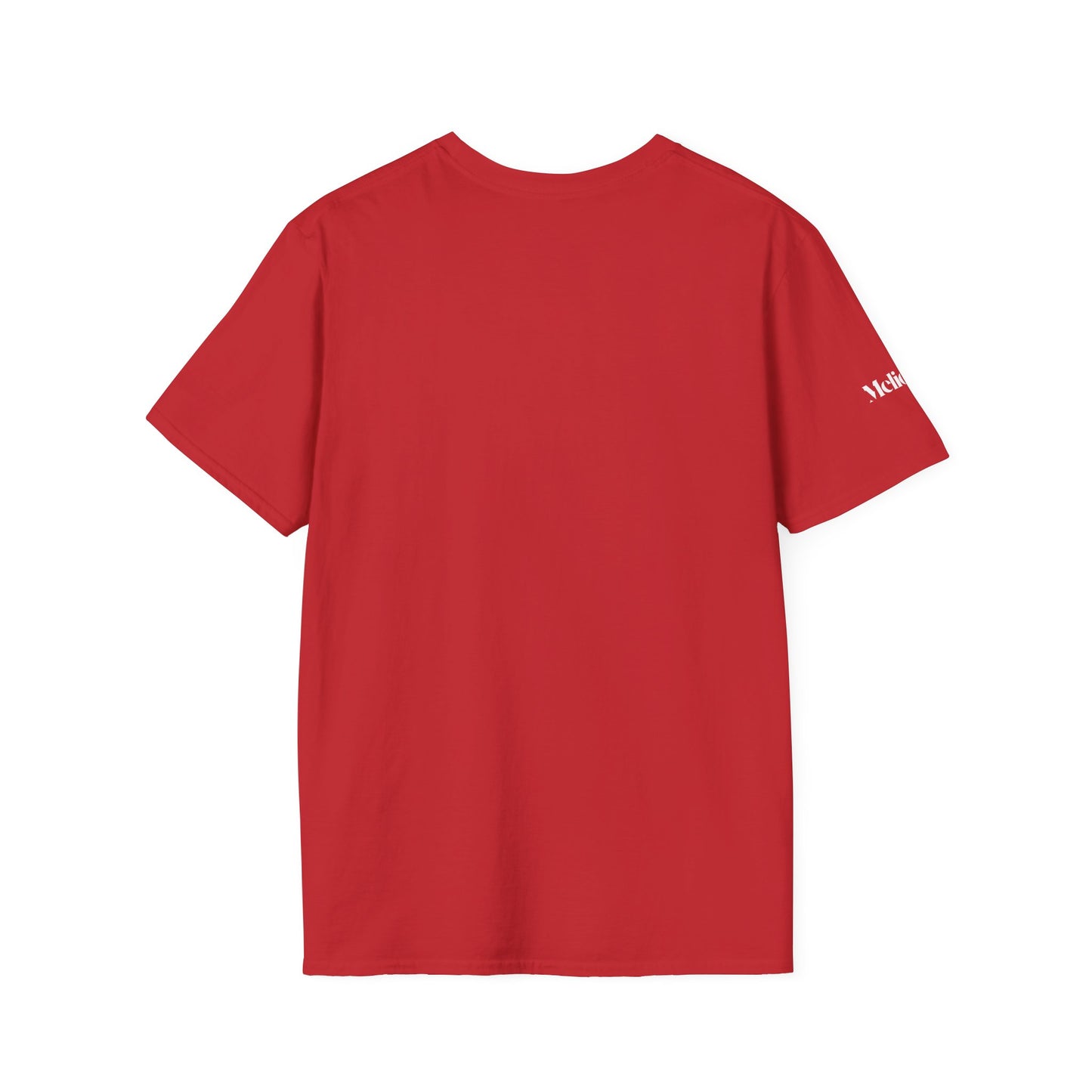 Fearless Lion Tee Shirt – Für alle, die groß denken & mutig handeln