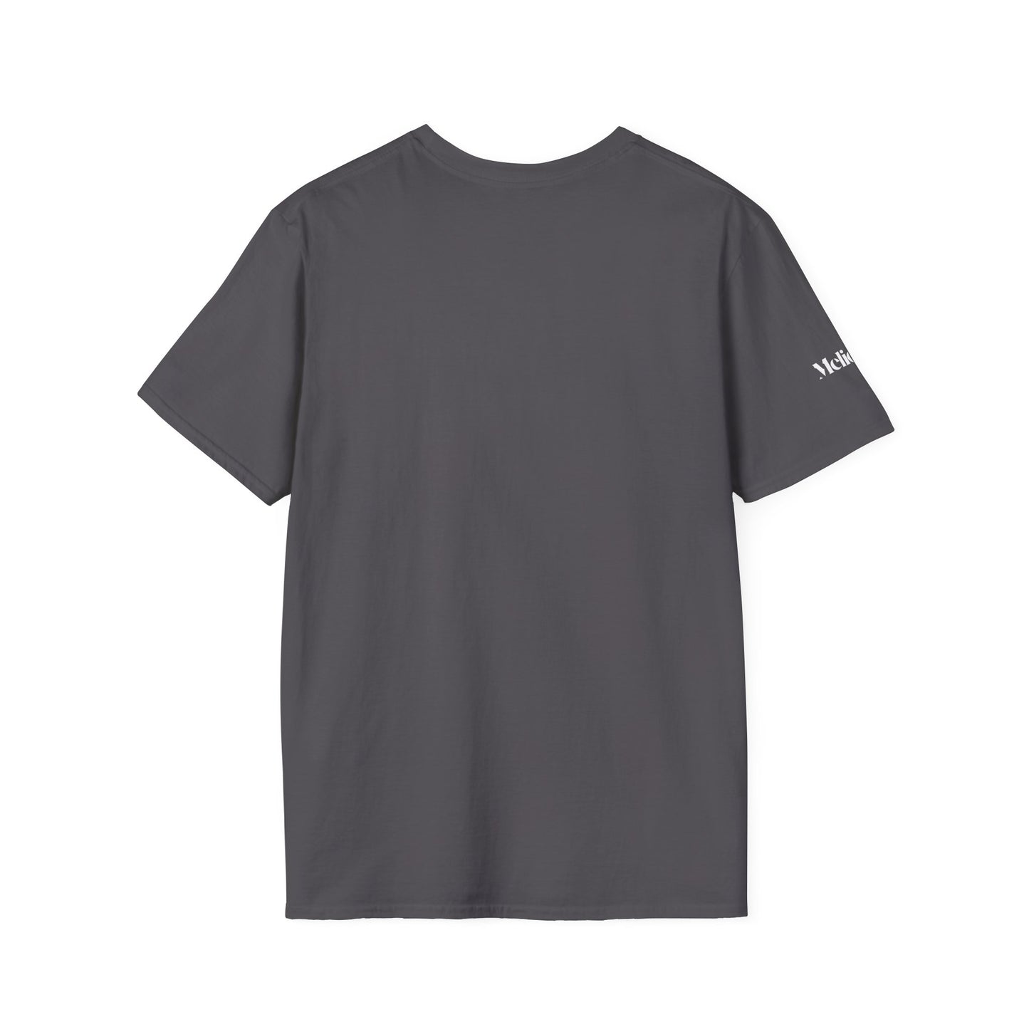Fearless Lion Tee Shirt – Für alle, die groß denken & mutig handeln