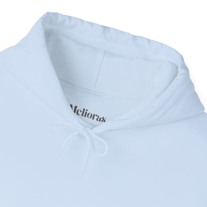 Japan Design | Cherry Blossom Hoodie Unisex – Melioras